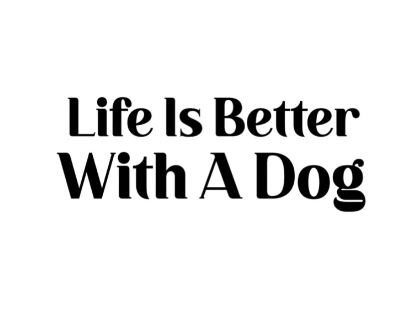 Life is better with a dog